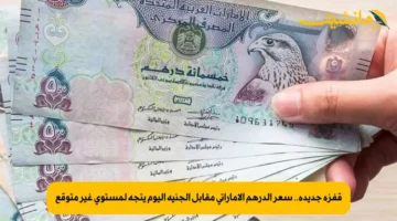 قفزة جديدة.. سعر الدرهم الإماراتي مقابل الجنيه اليوم يتجه لمستوى غير متوقع 1